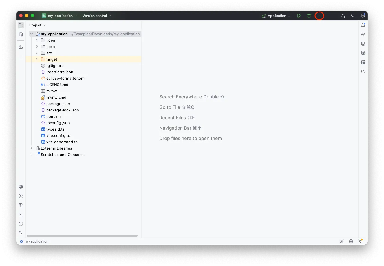 IntelliJ IDEA with a generated skeleton